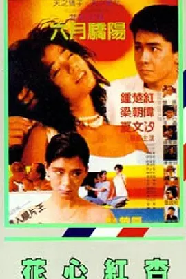 一级毛片美国一级j毛片不卡